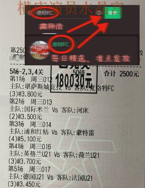 世界杯投注登录入口打不开怎么办，从入门到进阶